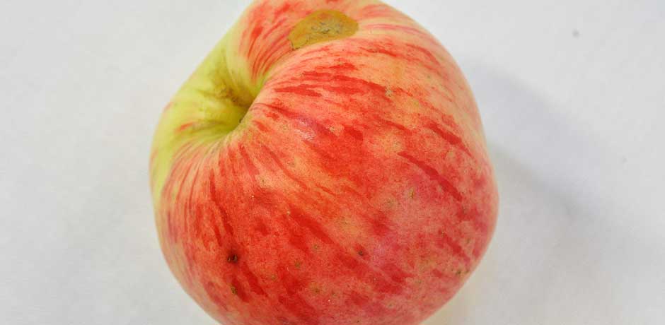 Äpple Sparreholm
