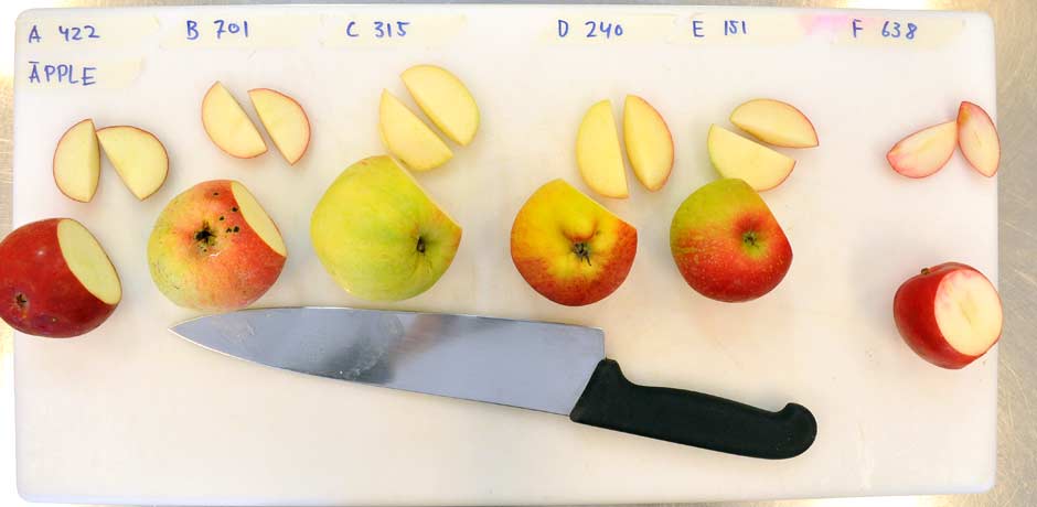Innan du börjar måste du bestämma hur äpplena ska serveras. Här har man valt att ge bedömarna en skiva av respektive äppelsort. Proverna på bilden är märkta med bokstav och kod.