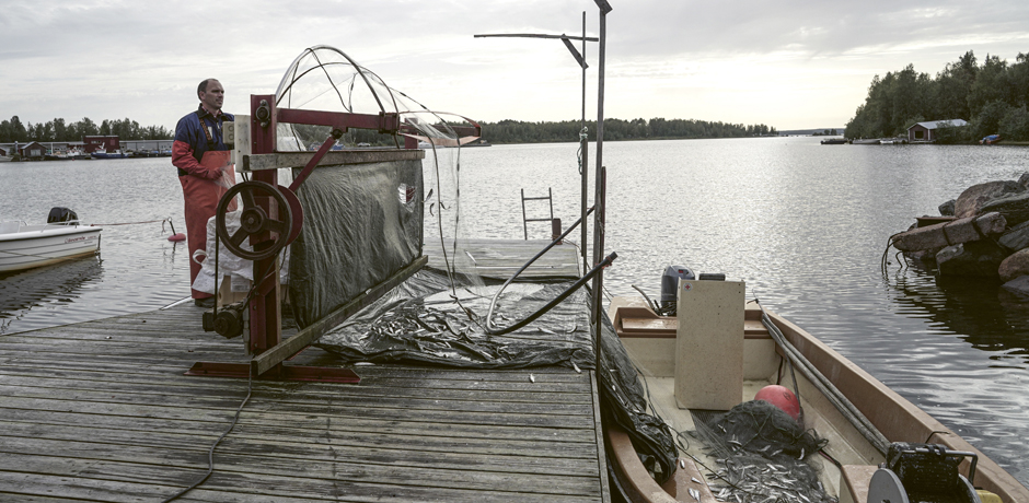 Brygga med fiskebåt