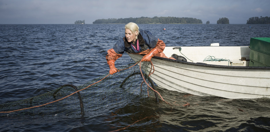 Fiskaren Anna drar upp nät ur Hjälmaren i båten.