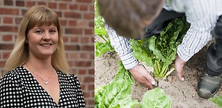 Metod förenklar för jobb i livsmedelsproduktion