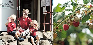 Anna på Hallongården