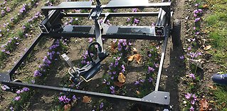 Robot möjliggör svensk odling av saffran