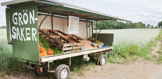 Vagn med försäljning av grönsaker på landsbygden
