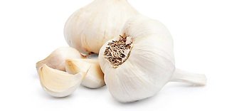 Vitlök