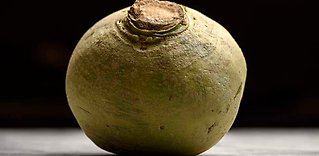 Historiska smaker med framtidspotential